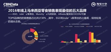 中國市場中的互聯網數據資訊中心 199it 引領數據服務新時代