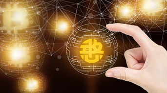 憨分?jǐn)?shù)據(jù)拓展應(yīng)用場(chǎng)景，共建區(qū)塊鏈生態(tài)，推動(dòng)互聯(lián)網(wǎng)數(shù)據(jù)服務(wù)發(fā)展